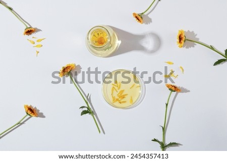Mockup scene for cosmetic of calendula extract. Top view of fresh calendula flowers on petri dishes with essence decorated on a white background. Creative background for advertising