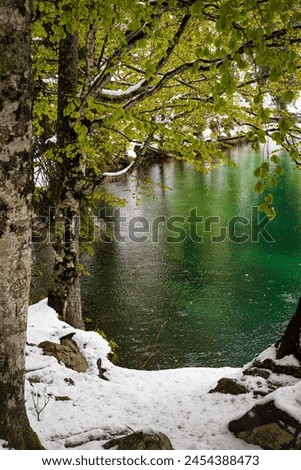 Snowy spring at Fusine lakes. An unusual snowfall in spring, cold temperatures. Magical place and magical atmosphere Royalty-Free Stock Photo #2454388473