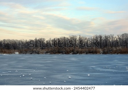 Beautiful and unusual winter nature, the frozen and covered with thick ice Dnipro River with white snow, trees, dry golden ice. Royalty-Free Stock Photo #2454402477