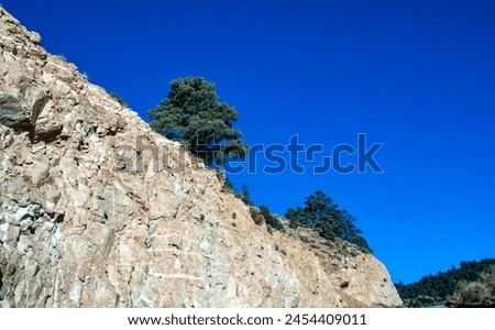 Conifers and other drought-resistant plants grow on the clay and stone rocks of the mountain at the pass in the Sierra Nevada Mountains, California, USA Royalty-Free Stock Photo #2454409011