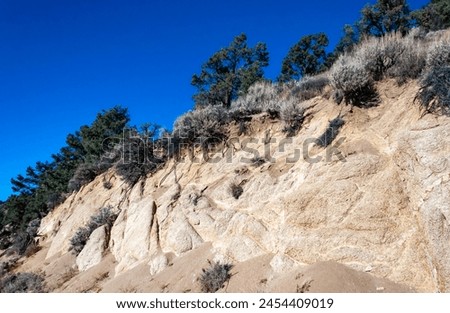 Conifers and other drought-resistant plants grow on the clay and stone rocks of the mountain at the pass in the Sierra Nevada Mountains, California, USA Royalty-Free Stock Photo #2454409019