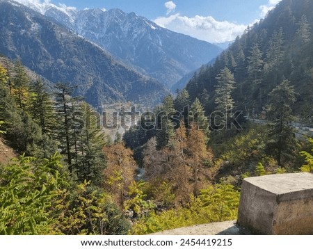 Beautiful  view fo trees of different colour river mountain and snow. Picture taken on india pakistan boarder