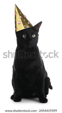 Cute black cat with party hat on white background
