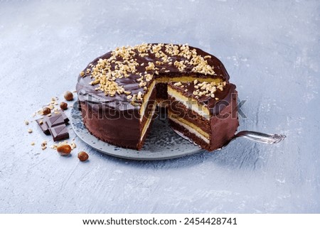 Traditional choco vanilla cake with chocolate icing chopped hazelnuts served as close-up on a Nordic Design plate with text space 