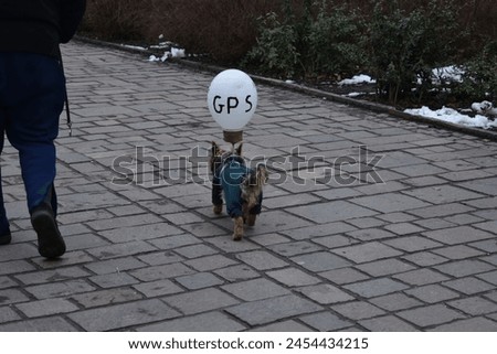 A GPS dog walking near his owner