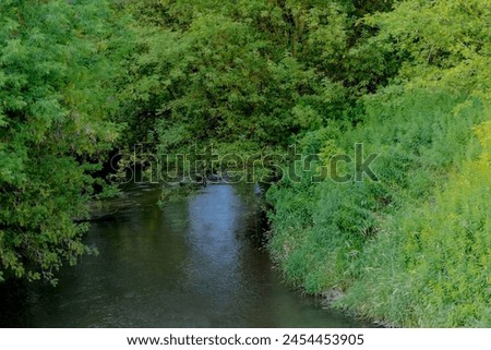 A wild river (Kamienna) flowing through a dense maple forest. The river flows meanders among banks abundantly covered with ash-leaved maples.  Royalty-Free Stock Photo #2454453905