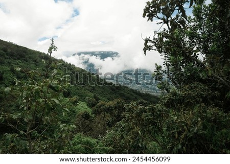 natural view from the top of the mountain with thick fog. tropical mountain Royalty-Free Stock Photo #2454456099