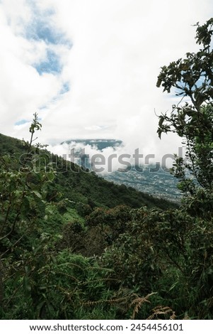 natural view from the top of the mountain with thick fog. tropical mountain Royalty-Free Stock Photo #2454456101