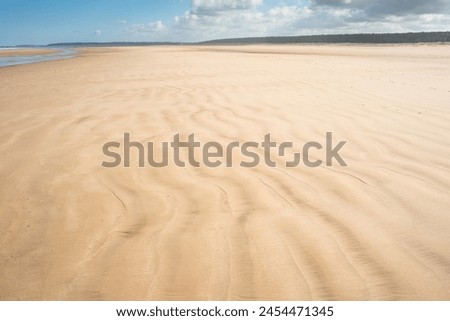 Sandy beach at Holkham Bay on the Norfolk Coast Path National Trail, Norfolk, East Anglia, England, United Kingdom, Europe Royalty-Free Stock Photo #2454471345