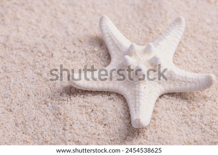 Idillyc picture of one white star fish on the white ocean sand in the beach.