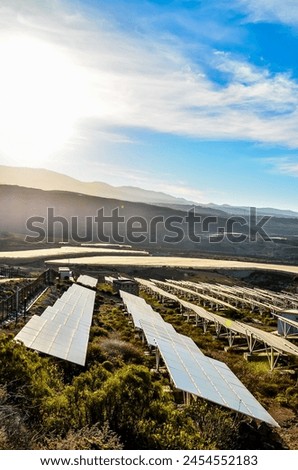 A solar farm with many solar panels on top of a hill. The sun is shining brightly on the panels