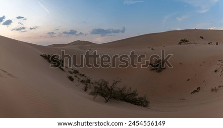 A picture of the desert landscape outside of Abu Dhabi at sunset.