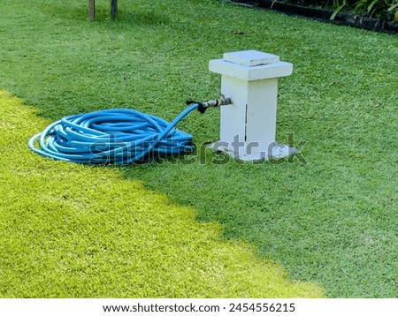 A blue hose that is neatly rolled up and connected to a water source on a neat green grass.