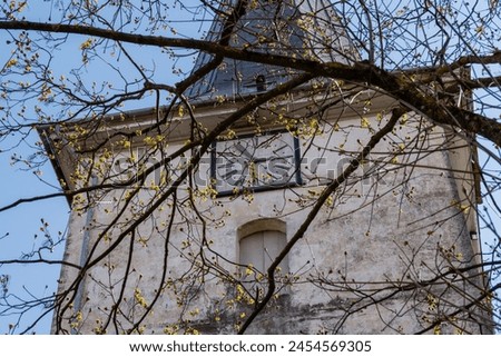 Leaves of trees in the foreground and the facade of the building with the tower clock in the background with the sky during the day in spring in an urban environment in a vertical design.