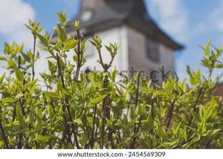 Bright green leaves in the foreground and the church tower with its facade blurred in the background during the day in spring with blue skies in a vintage look.