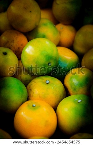 Stock of Fresh tangerines at Chiang Mai province, Thailand.
