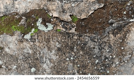 the rotten and mossy wall Royalty-Free Stock Photo #2454656559