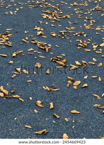 Dry leaves on the ground, clear picture.