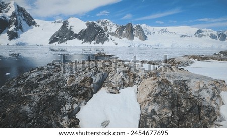Aerial Flight Over Snow Rock With Penguins. Antarctica Snow Mountains Background. Drone Of Ice Frozen Ocean, Polar Mighty Mounts. Winter Panoramic View Of Lemaire Channel.