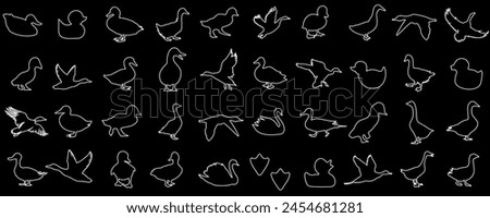 Hand drawn white line art of ducks, various poses of duck vector on black background. Standing, flying, swimming ducks, detailed feathers, beaks. Simplistic, artistic style Royalty-Free Stock Photo #2454681281