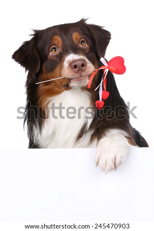 Dog holding a heart