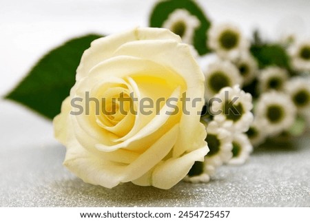 :)p The beautiful closeup picture of floral rose with branch and leaf.