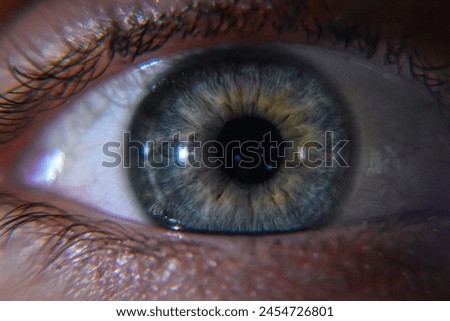 Clear picture of a human eye