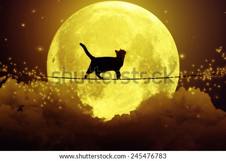 Black cat, kitty walking on rope above the clouds looking upwards at full moon, cloudy dark night sky background. Dreamy magic skyline, artistic screen saver. Elements of this image furnished by NASA