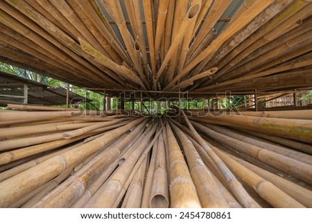 Bamboo poles log wood. Trunk. Nature