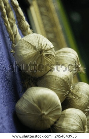 The large garlic that is hanging looks to have an interesting shape.