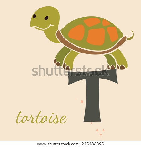 Animal & Animals. T for the tortoise