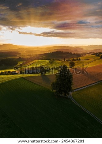 Sunset over swiss pastures, trees cast a long shadow Royalty-Free Stock Photo #2454867281