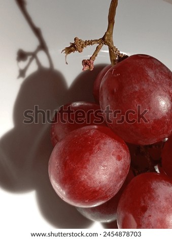 Red grapes with a shadow in close-up picture. 
