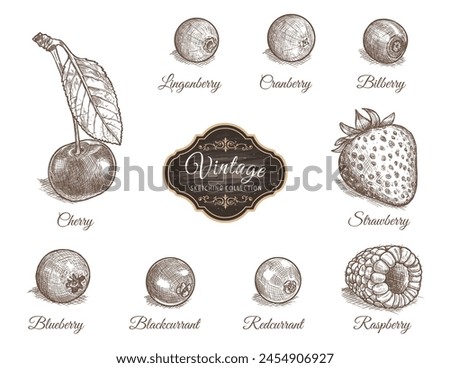 Set of cherry, lingonberry, cranberry, bilberry, blueberry, blackcurrant, redcurrant, raspberry, strawberry in vintage style isolated on white background. Vegetarian organic food. Vector Illustration. Royalty-Free Stock Photo #2454906927