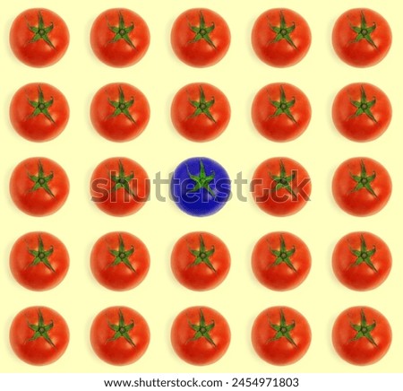 Tomato, row and pattern with odd color in bunch for difference or unique vegetable on background. Group or isolated fresh produce, line or column with blue organic food in collection for selection