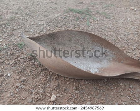This is a bowl made of palm leaves which is very strong and has a soft flower petal inside it. Water or juice can also be drunk in the bowl.