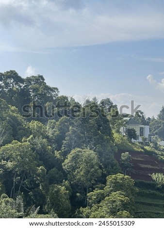View of a small forest in the upper Dago area, West Java, to be precise in Dago, a photo expert taken at 10 am