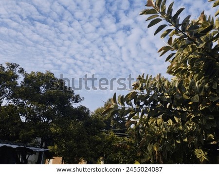 White cotton-shaped clouds above the sky with green leaves around them