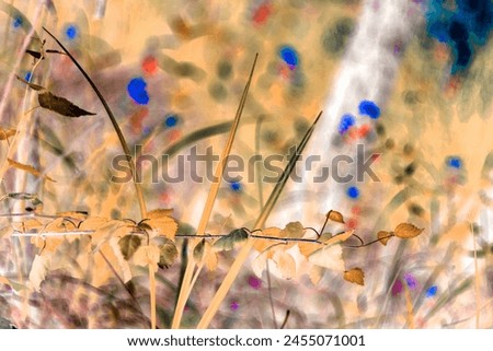 Birch twig with young green leaves close-up in the spring forest. Birch branch against the background of a flowering meadow in spring. Blurred background of flowering and flower fantasy of a spring me