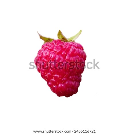 High-resolution image capturing the detailed texture and bright color of a fresh raspberry; excellent for use in marketing materials promoting healthy eating.
