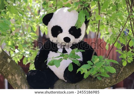 A panda teddy bear in a green tree sitting on a branch on a beautiful sunny day.