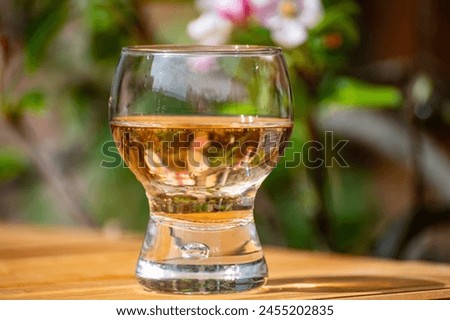 Brut apple cider from Betuwe, Gelderland, in glass and blossom of apple tree in garden on background on sunny spring day, apple cider production in Netherlands Royalty-Free Stock Photo #2455202835