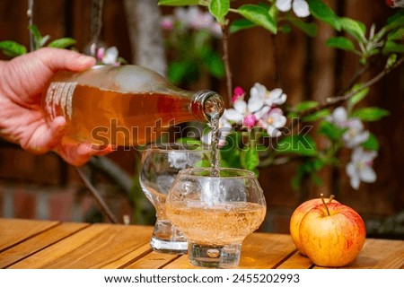 Pouring of cold brut apple cider from Normandy in glass, France and blossom of apple tree in garden on background on sunny spring day Royalty-Free Stock Photo #2455202993