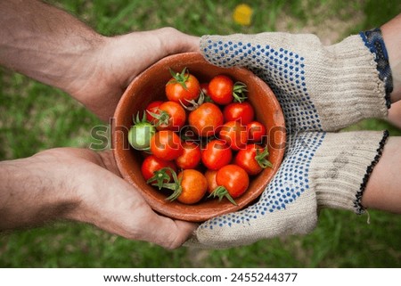 Tomatoes 🍅 With beautiful Bowls Beautiful wallpaper pictures background 