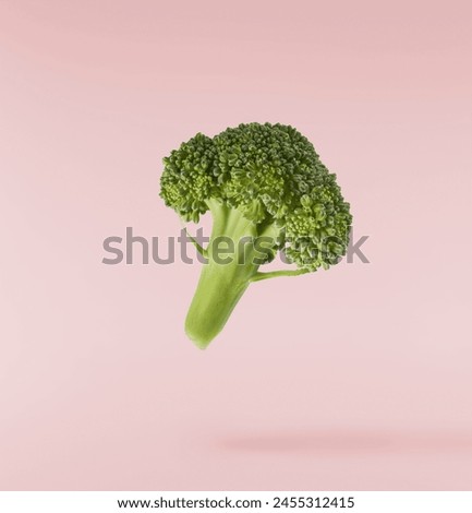 Fresh raw Brocolli cabbage falling in the air isolated on pinkk backround. Healthy food levitation. High resolution image