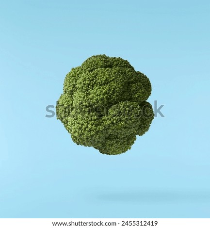 Fresh raw Brocolli cabbage falling in the air isolated on blue backround. Healthy food levitation. High resolution image
