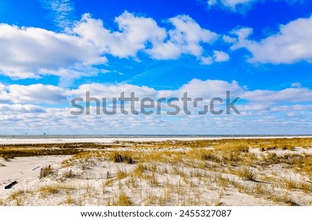 Sand and beach fencing are pictured on a sunny day with fluffy white clouds, December 26, 2012, in Dauphin Island, Alabama.
