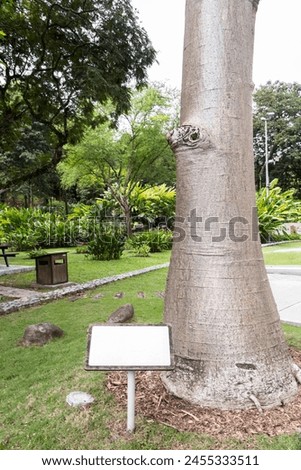 Adansonia digitata baobab tree with empty information sign in the tropical nature in Perdana Botanical Garden, Malaysia.