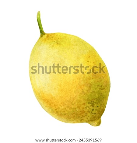 Watercolor botanical illustration of a yellow juicy lemon branch. Hand drawn drawing of fresh citrus fruit isolated on white background. Tasty food for design, decoration and printing