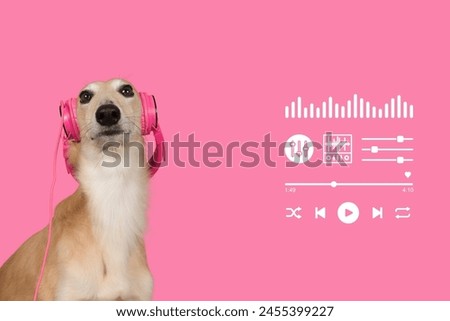 An image of a dog wearing headphones on a bright background with an equalizer symbol and a volume adjustment bar on the side. Suitable for use in advertising media and music.